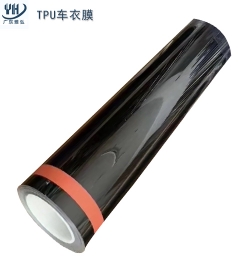 佳木斯TPU車衣膜